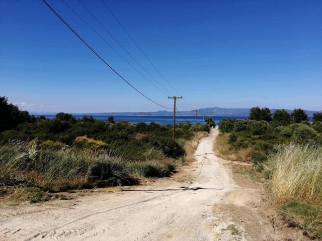 Seagull Villa Chalkidiki 페프코초리 외부 사진