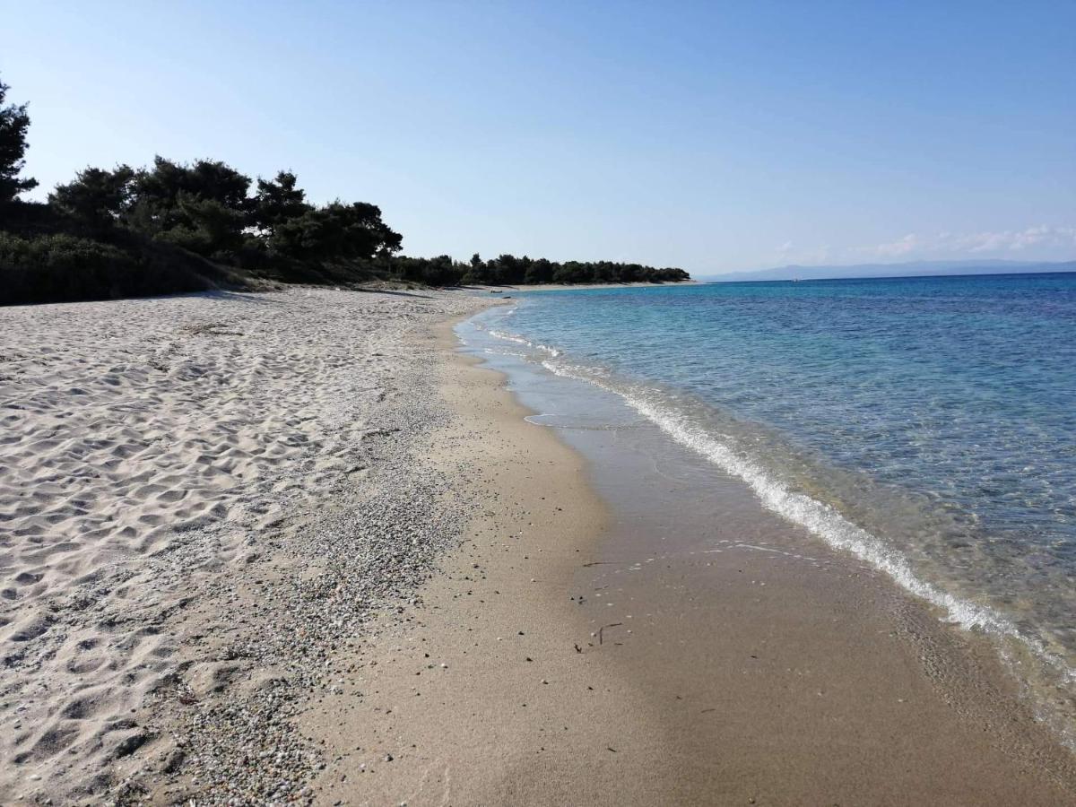 Seagull Villa Chalkidiki 페프코초리 외부 사진