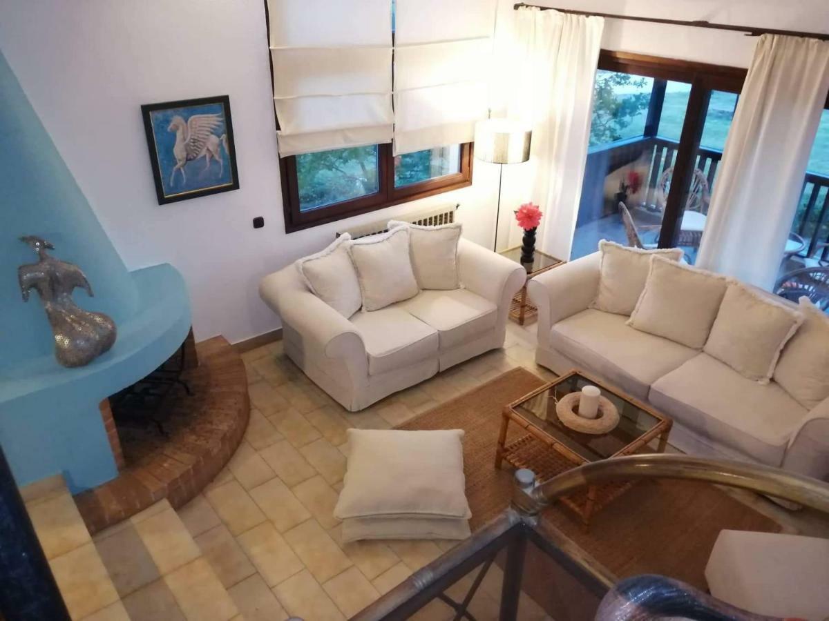 Seagull Villa Chalkidiki 페프코초리 외부 사진