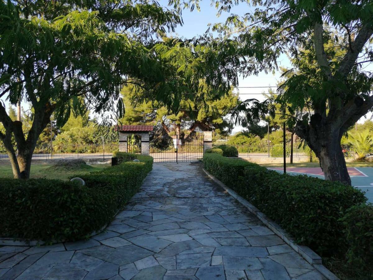 Seagull Villa Chalkidiki 페프코초리 외부 사진